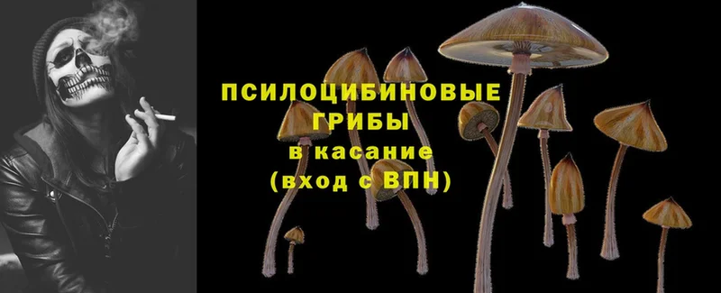 Галлюциногенные грибы GOLDEN TEACHER  где купить наркоту  Еманжелинск 